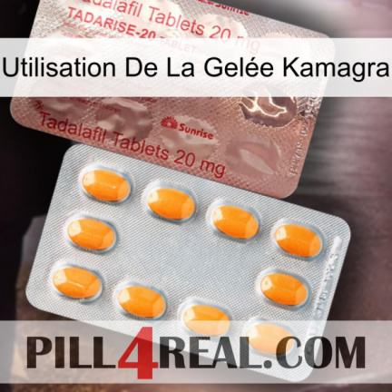 Utilisation De La Gelée Kamagra new13